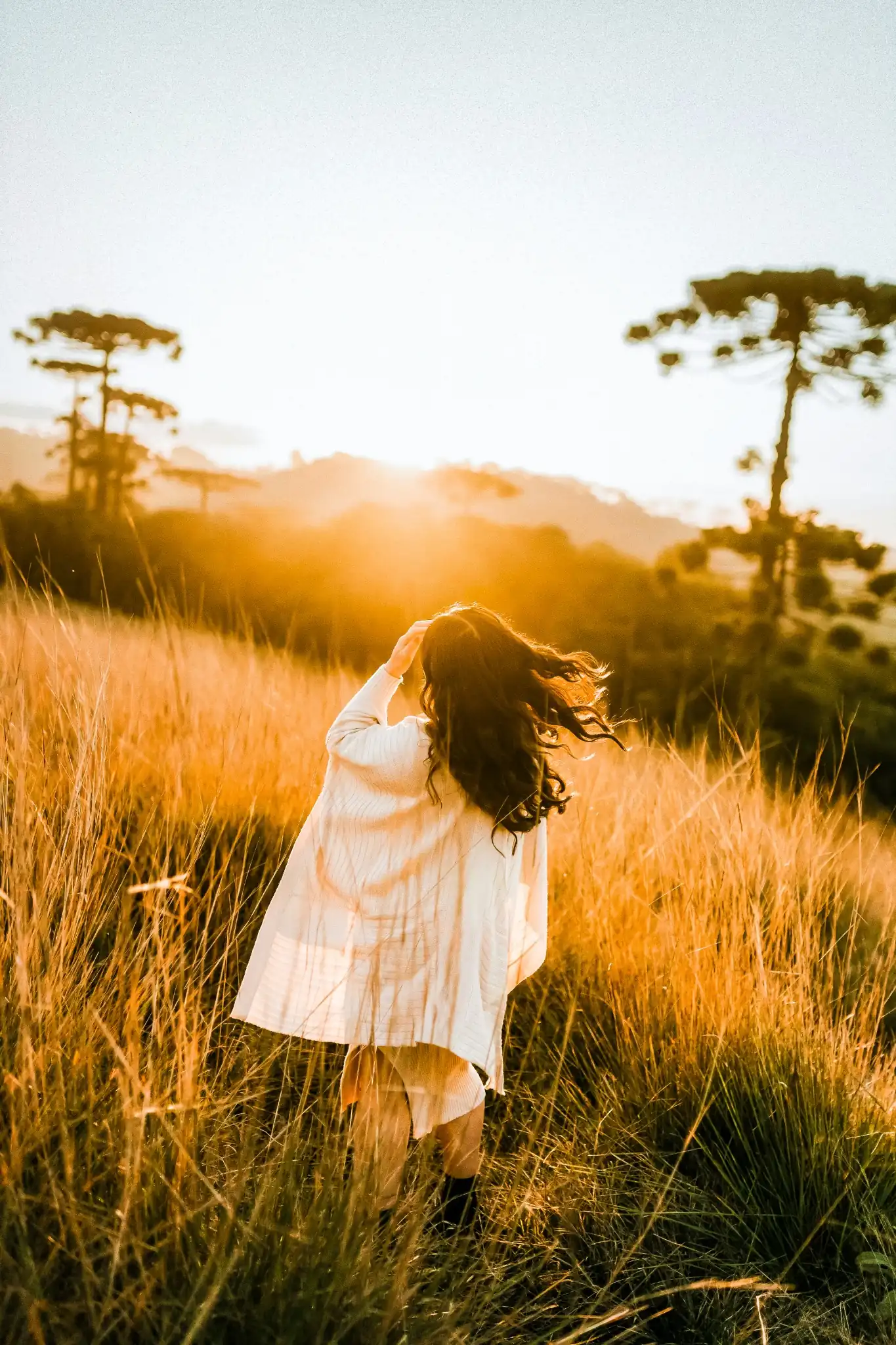 Warm golden hour preset applied to an outdoor sunny scene, looking bright and natural
