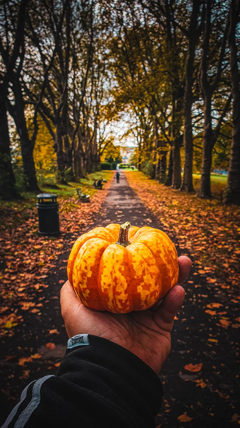 Después de aplicar los Presets de Lightroom para Otoño - Foto editada con Preset de Lightroom