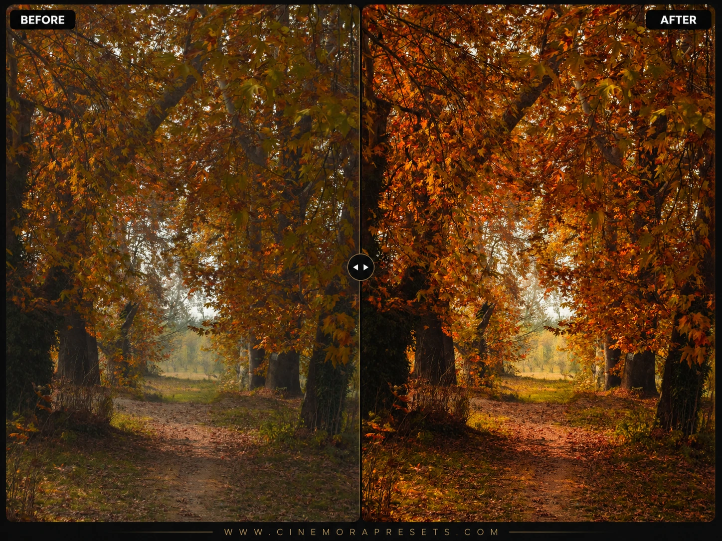Autumn Lightroom Presets Preset Pack Preview