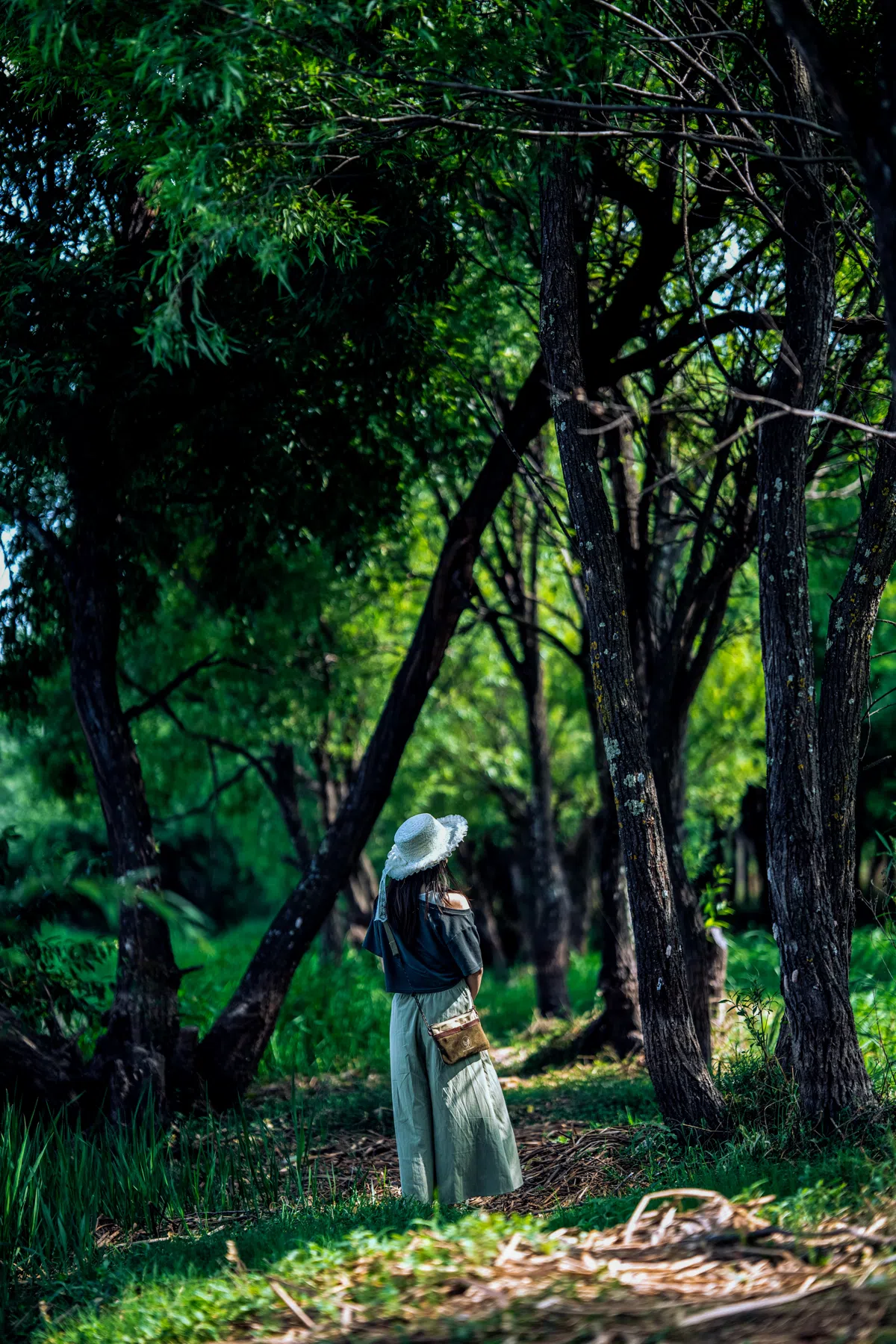 Después de aplicar Presets Verdes de Lightroom - Foto editada con Preset de Lightroom