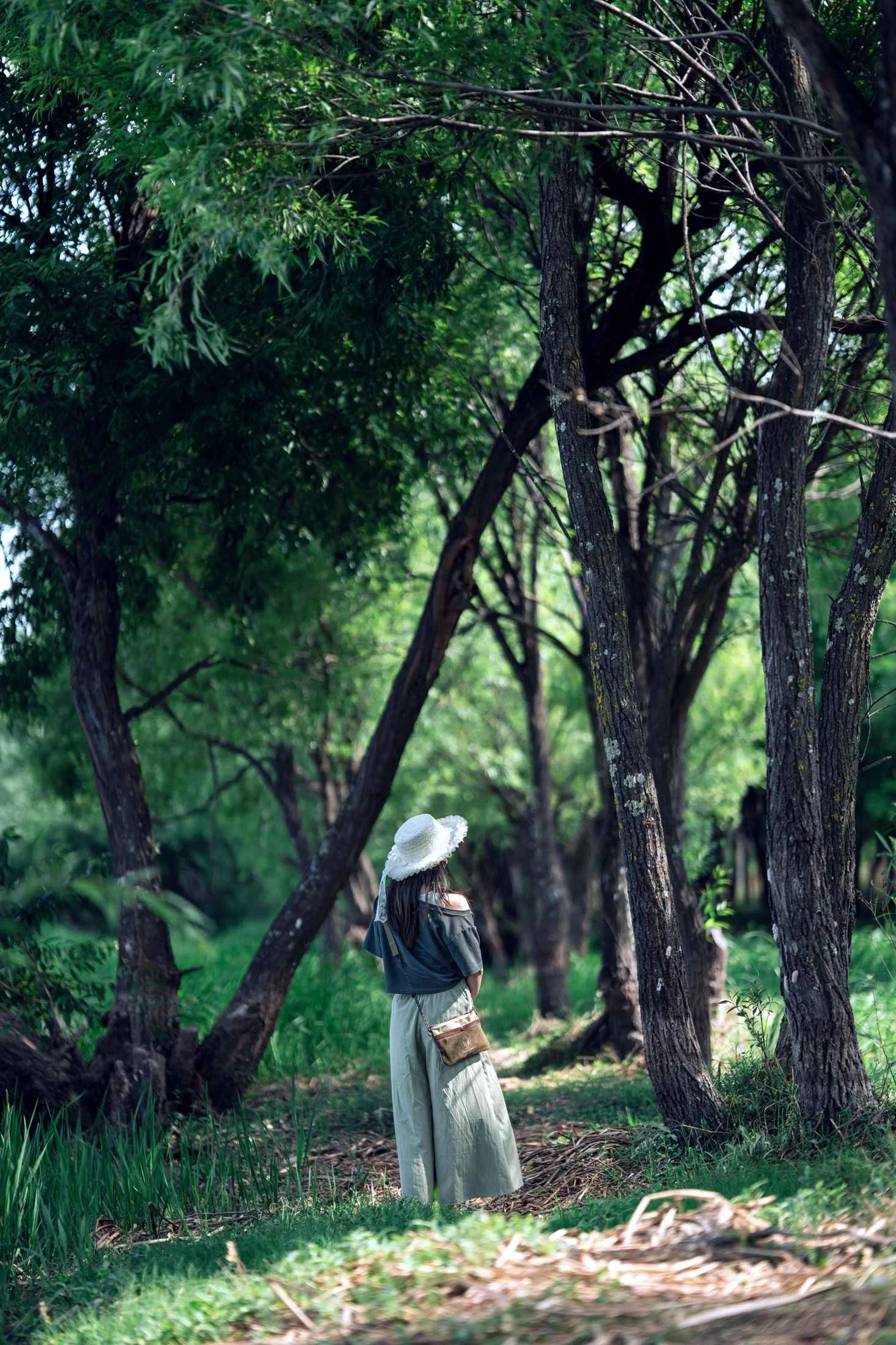 Antes de aplicar Presets Verdes de Lightroom - Foto original sin editar
