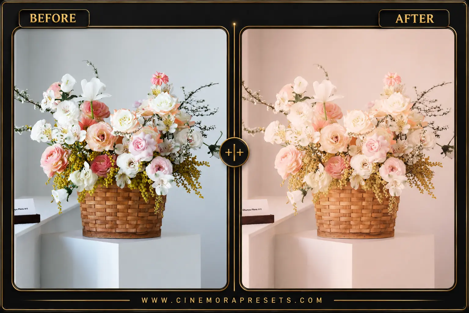 Pastel Lightroom Presets Preset Preview