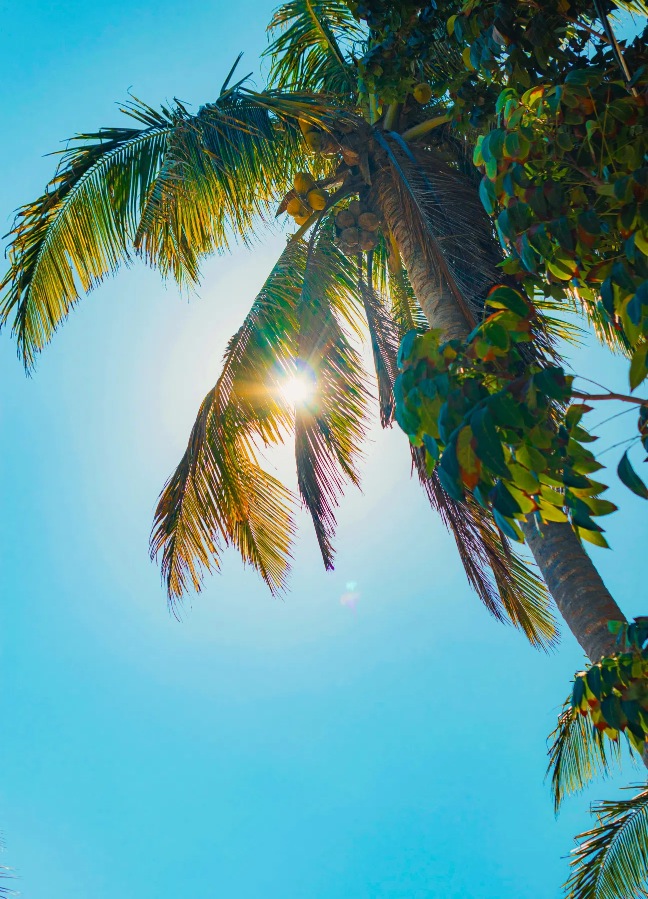 Después de aplicar los Presets de Verano para Lightroom - Foto editada con Preset de Lightroom